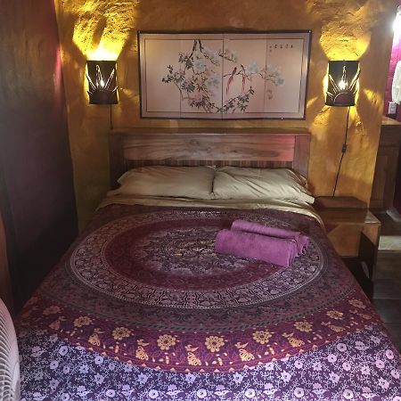 Free Spirit Oasis Hotell Bocas del Toro Exteriör bild
