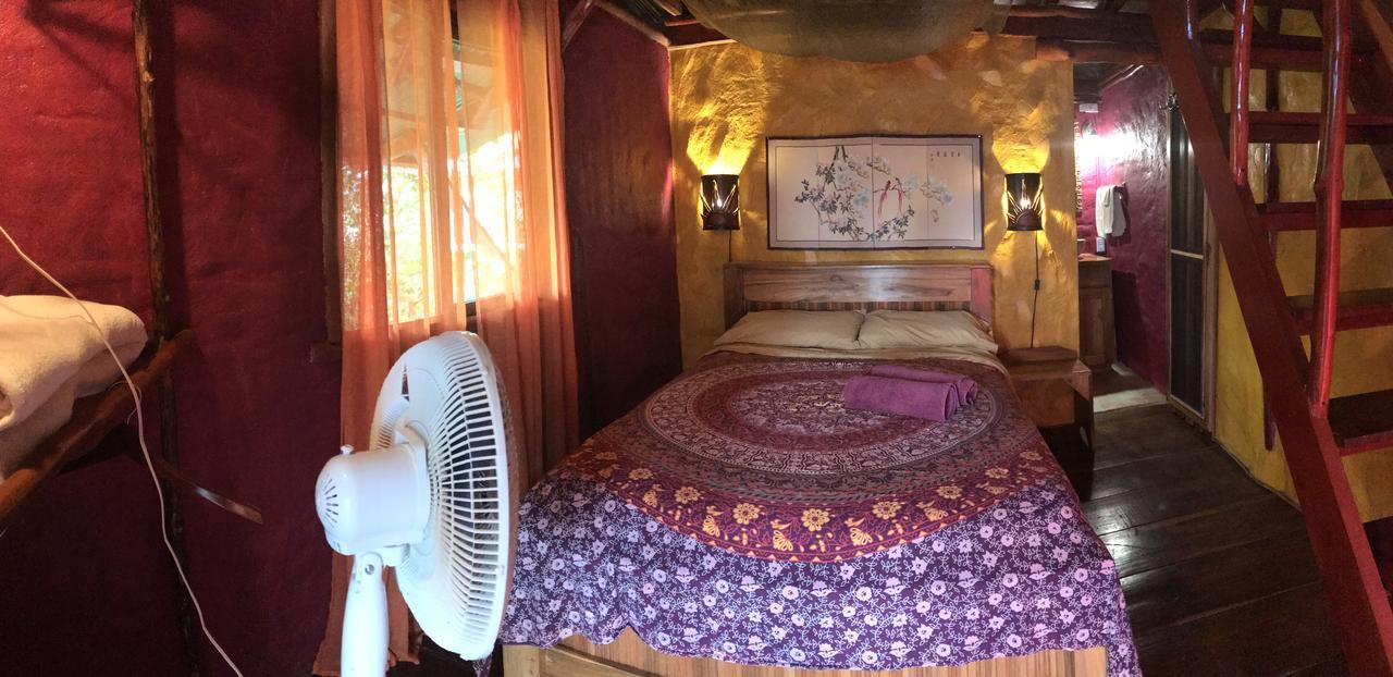 Free Spirit Oasis Hotell Bocas del Toro Exteriör bild