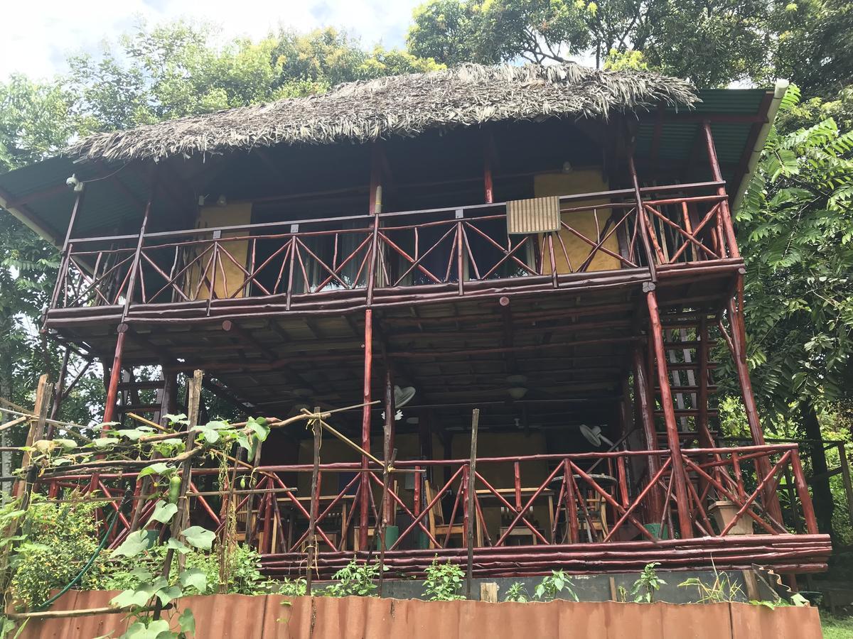 Free Spirit Oasis Hotell Bocas del Toro Exteriör bild
